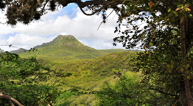 Curacao Christoffel Park Foto Curacao Tourist Board